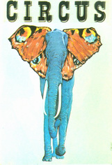 elephant - circus; pagowski