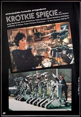 krotkie spiecie