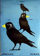 poster odmiany kawek, jakub zasada